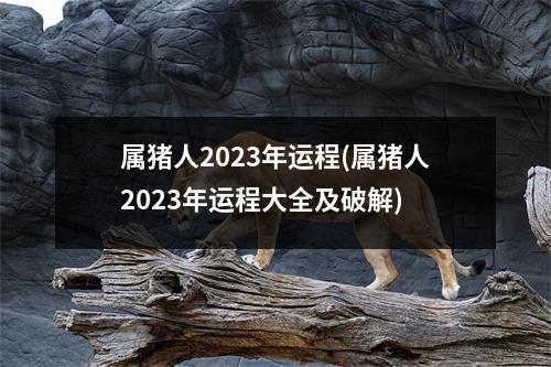 属猪人2023年运程(属猪人2023年运程大全及破解)