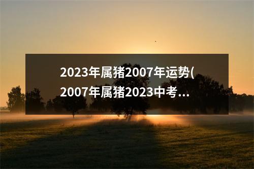 2023年属猪2007年运势(2007年属猪2023中考运气怎样)