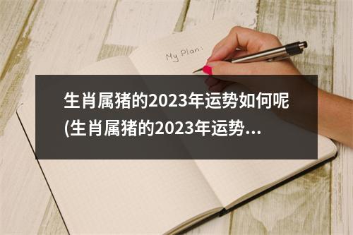 生肖属猪的2023年运势如何呢(生肖属猪的2023年运势如何呢女生)