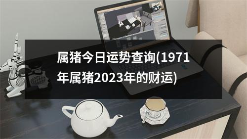 属猪今日运势查询(1971年属猪2023年的财运)