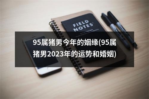 95属猪男今年的姻缘(95属猪男2023年的运势和婚姻)