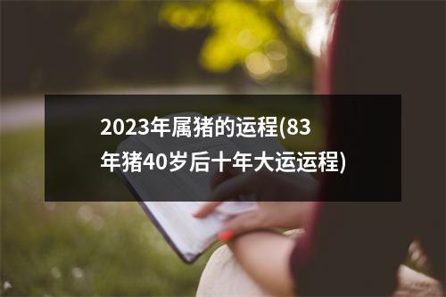 2023年属猪的运程(83年猪40岁后十年大运运程)