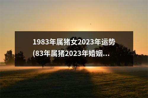 1983年属猪女2023年运势(83年属猪2023年婚姻终归宿)