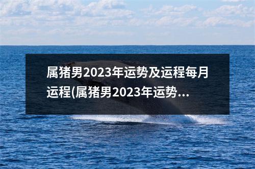 属猪男2023年运势及运程每月运程(属猪男2023年运势及运程每月运程安康网)