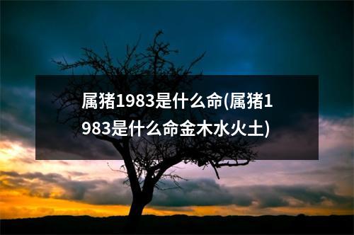 属猪1983是什么命(属猪1983是什么命金木水火土)