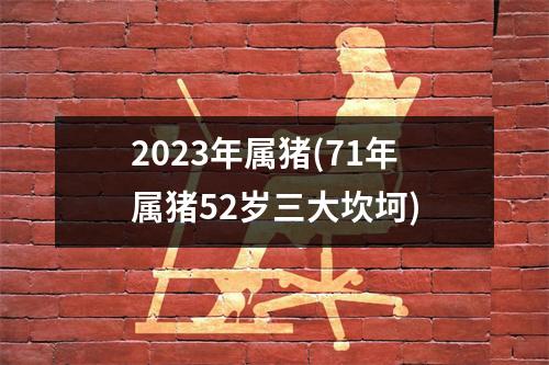 2023年属猪(71年属猪52岁三大坎坷)