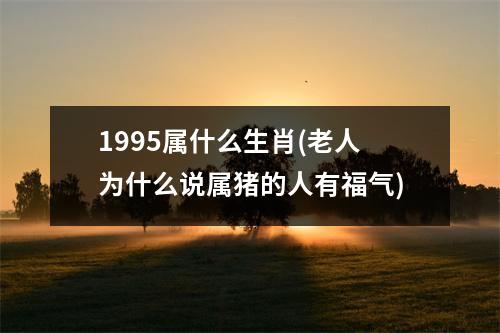 1995属什么生肖(老人为什么说属猪的人有福气)