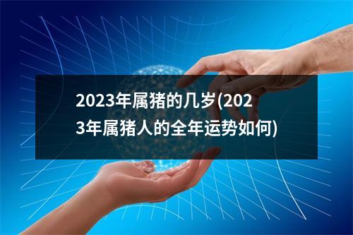 2023年属猪的几岁(2023年属猪人的全年运势如何)