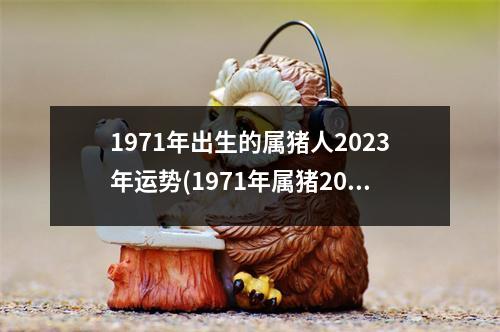 1971年出生的属猪人2023年运势(1971年属猪2023年运势及运程女性)