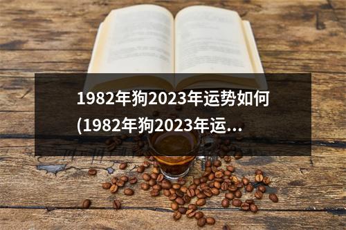 1982年狗2023年运势如何(1982年狗2023年运势如何如碰上属猪的能化解吗)