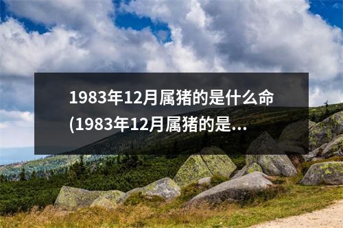 1983年12月属猪的是什么命(1983年12月属猪的是什么命,买房适合几楼)