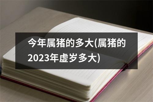 今年属猪的多大(属猪的2023年虚岁多大)