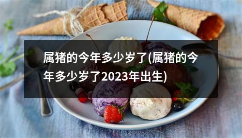 属猪的今年多少岁了(属猪的今年多少岁了2023年出生)