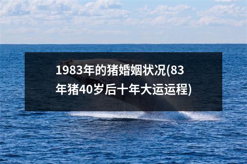 1983年的猪婚姻状况(83年猪40岁后十年大运运程)