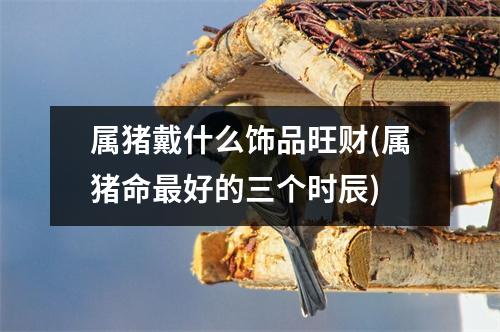 属猪戴什么饰品旺财(属猪命好的三个时辰)