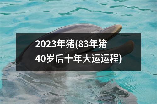 2023年猪(83年猪40岁后十年大运运程)