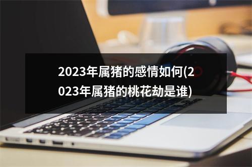 2023年属猪的感情如何(2023年属猪的桃花劫是谁)