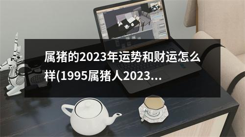 属猪的2023年运势和财运怎么样(1995属猪人2023年运势)