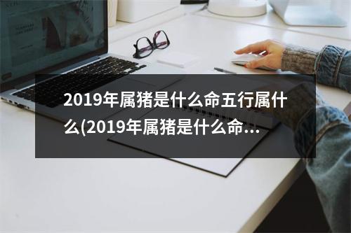 2019年属猪是什么命五行属什么(2019年属猪是什么命五行属什么缺什么)