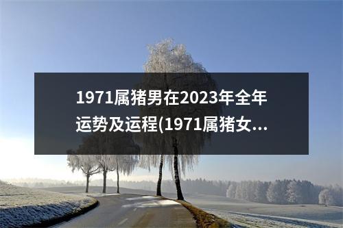 1971属猪男在2023年全年运势及运程(1971属猪女2023年全年运势)