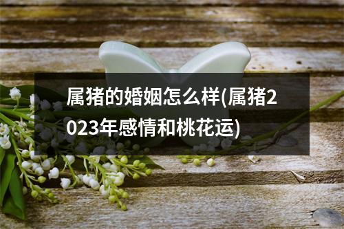 属猪的婚姻怎么样(属猪2023年感情和桃花运)