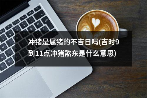 冲猪是属猪的不吉日吗(吉时9到11点冲猪煞东是什么意思)