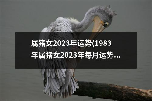 属猪女2023年运势(1983年属猪女2023年每月运势)