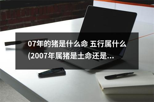 07年的猪是什么命 五行属什么(2007年属猪是土命还是火命)