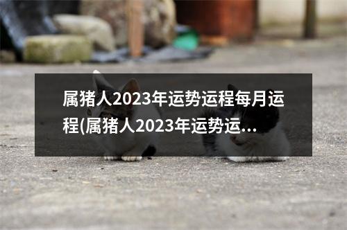 属猪人2023年运势运程每月运程(属猪人2023年运势运程每月运程1983)