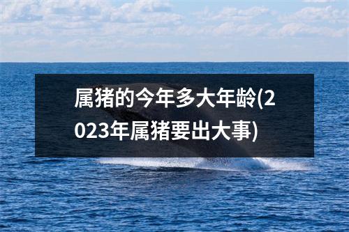 属猪的今年多大年龄(2023年属猪要出大事)