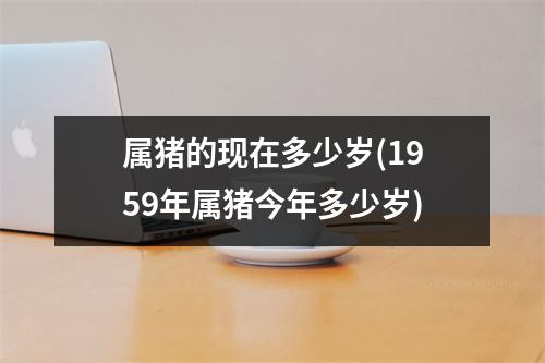 属猪的现在多少岁(1959年属猪今年多少岁)