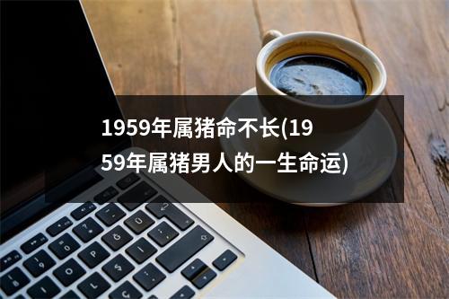 1959年属猪命不长(1959年属猪男人的一生命运)