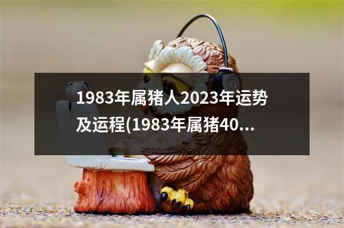 1983年属猪人2023年运势及运程(1983年属猪40岁以后大运)