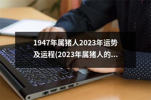 1947年属猪人2023年运势及运程(2023年属猪人的全年运势1983出生)