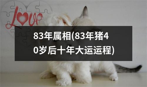 83年属相(83年猪40岁后十年大运运程)