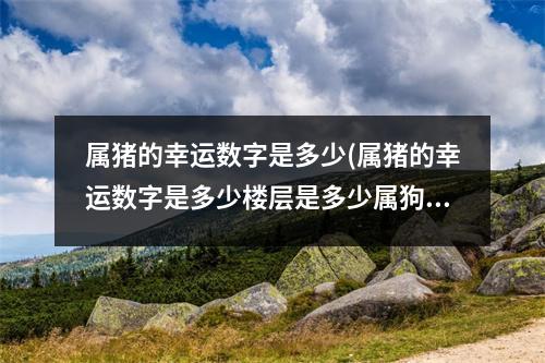 属猪的幸运数字是多少(属猪的幸运数字是多少楼层是多少属狗的幸运数字是什么)