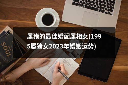 属猪的佳婚配属相女(1995属猪女2023年婚姻运势)