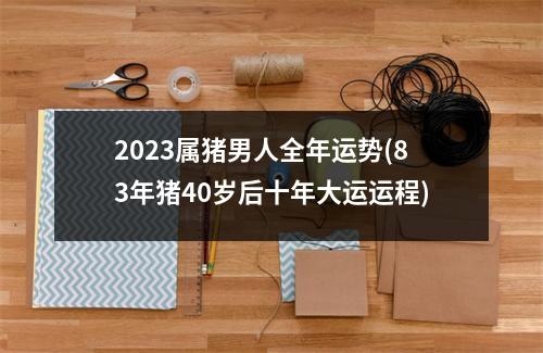 2023属猪男人全年运势(83年猪40岁后十年大运运程)