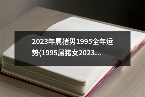 2023年属猪男1995全年运势(1995属猪女2023年每月运势)