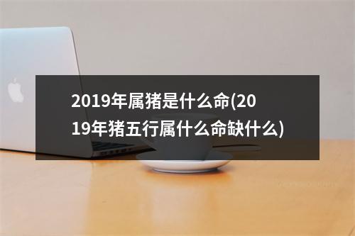 2019年属猪是什么命(2019年猪五行属什么命缺什么)