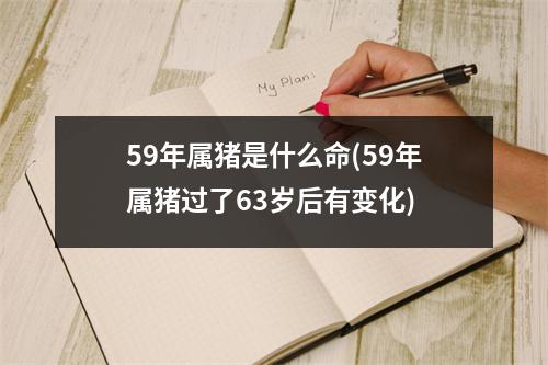 59年属猪是什么命(59年属猪过了63岁后有变化)