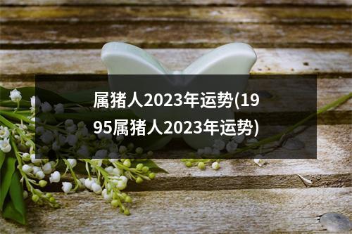 属猪人2023年运势(1995属猪人2023年运势)