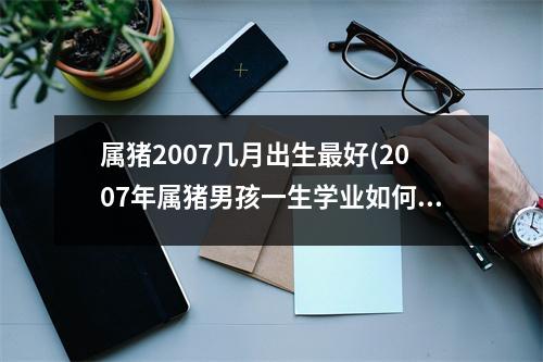 属猪2007几月出生好(2007年属猪男孩一生学业如何)