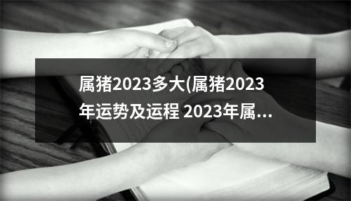 属猪2023多大(属猪2023年运势及运程 2023年属猪人的全年每月运势)