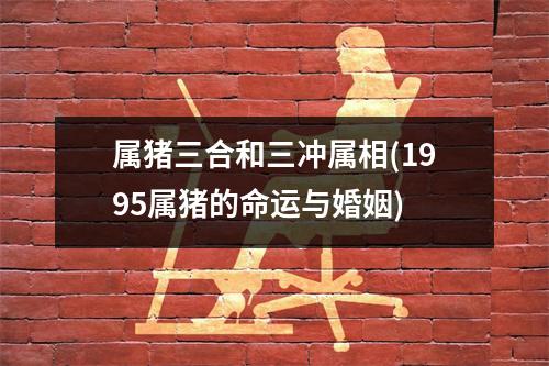 属猪三合和三冲属相(1995属猪的命运与婚姻)