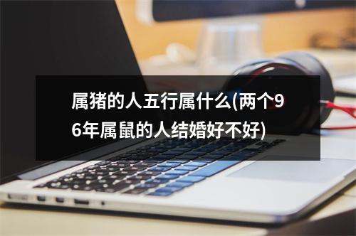 属猪的人五行属什么(两个96年属鼠的人结婚好不好)