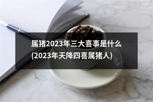 属猪2023年三大喜事是什么(2023年天降四喜属猪人)