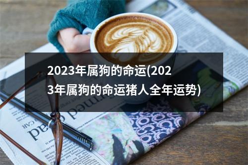 2023年属狗的命运(2023年属狗的命运猪人全年运势)