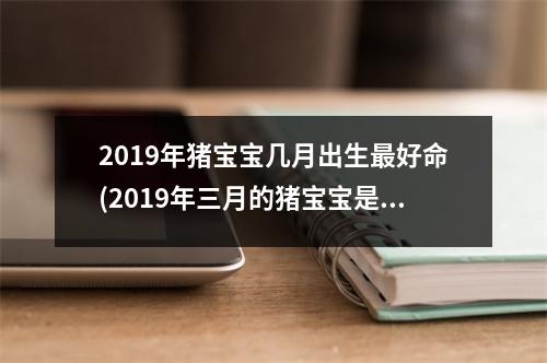 2019年猪宝宝几月出生好命(2019年三月的猪宝宝是什么命)