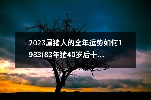 2023属猪人的全年运势如何1983(83年猪40岁后十年大运运程)